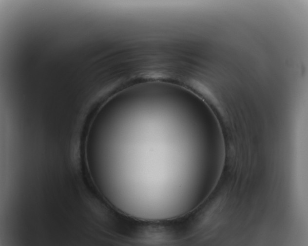 X0000089750535200706281627