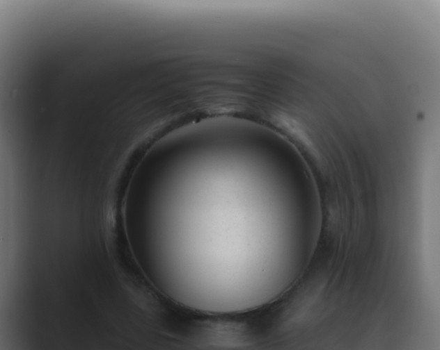 X0000089750539200706281627