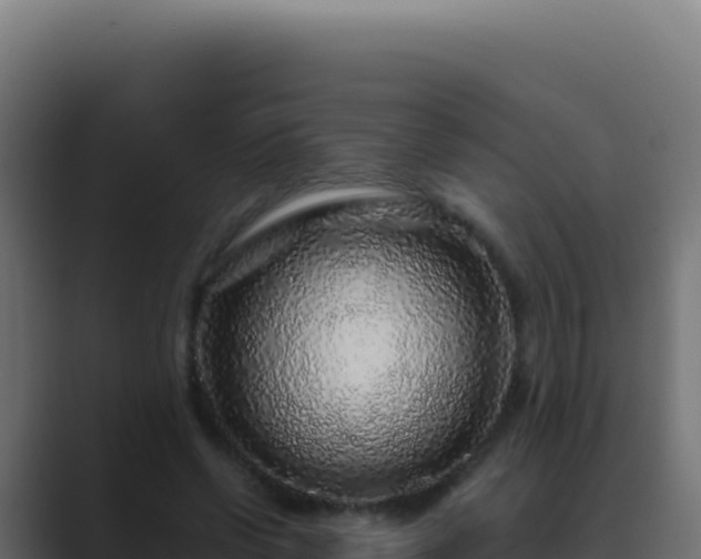 X0000089750542200706281627