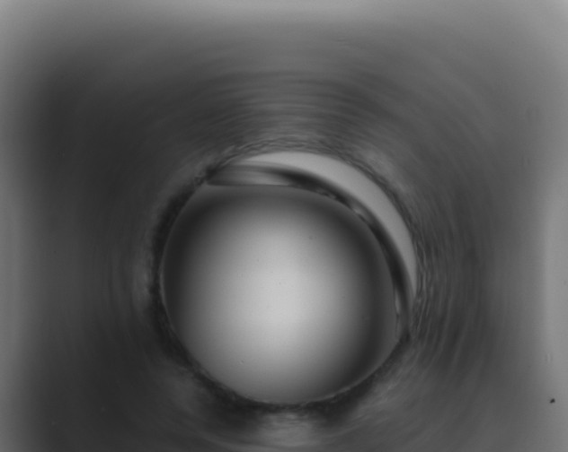 X0000089750544200706281627