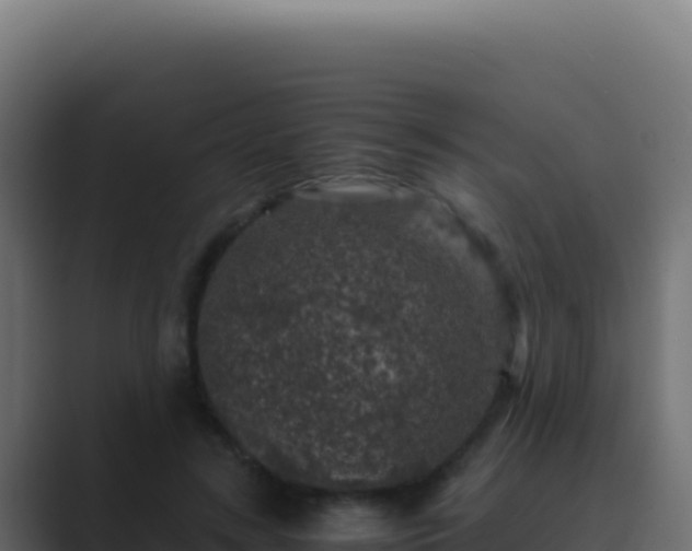 X0000089750547200706281627