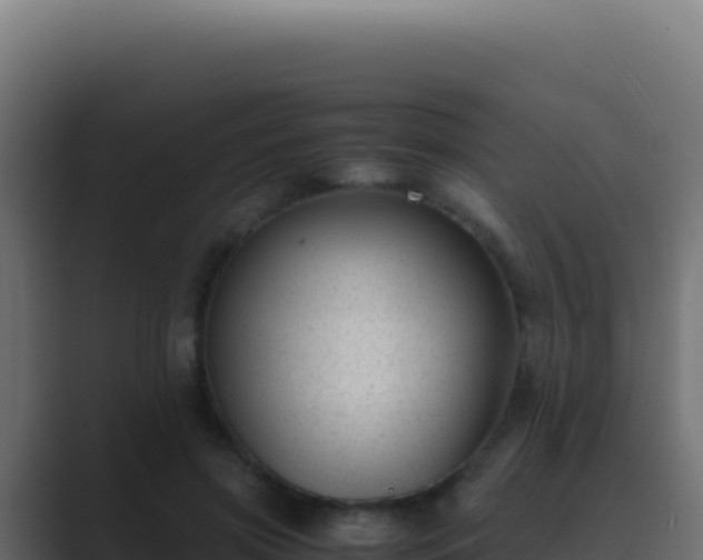 X0000089750549200706281627