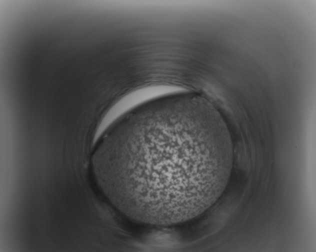 X0000089750550200706281627