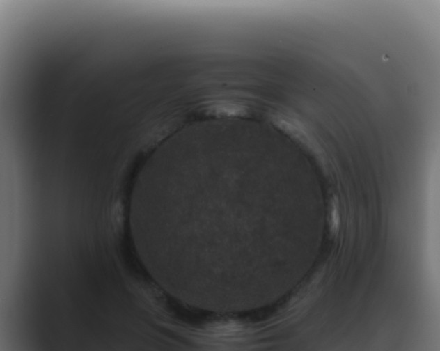 X0000089750551200706281627