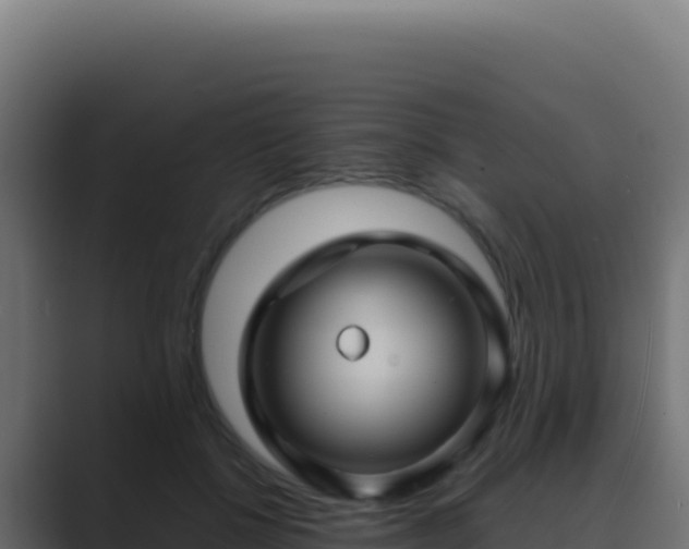 X0000089750552200706281627