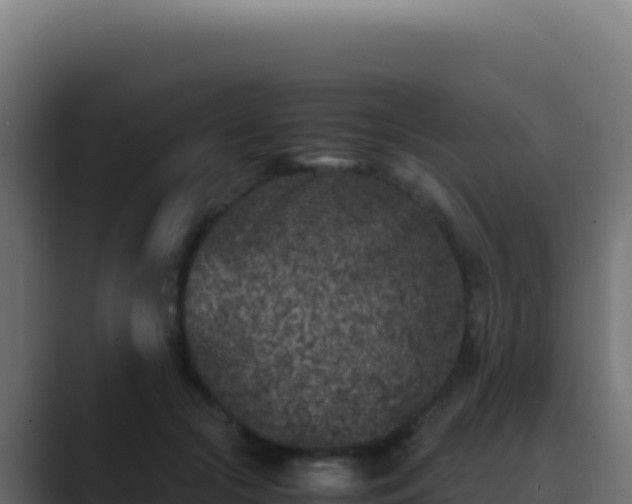 X0000089750553200706281627