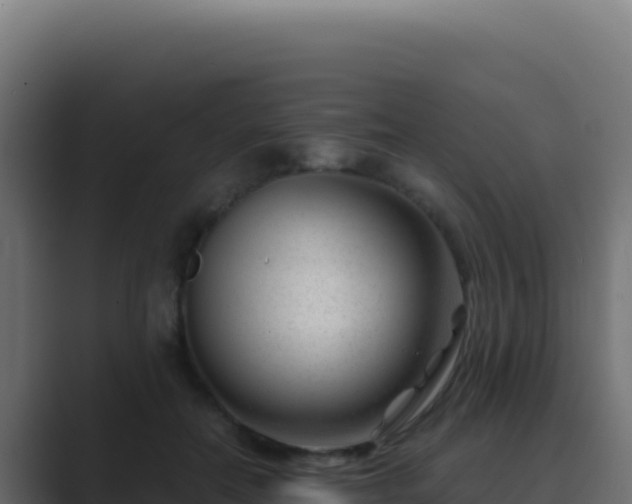 X0000089750554200706281627