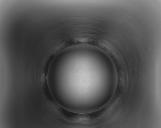 X0000089750555200706281627