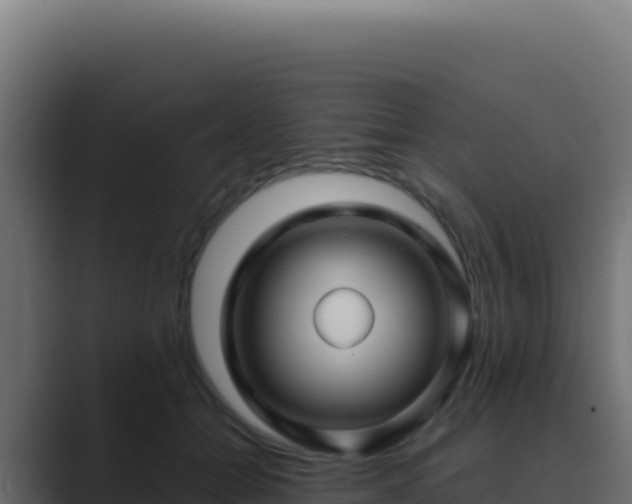 X0000089750558200706281627