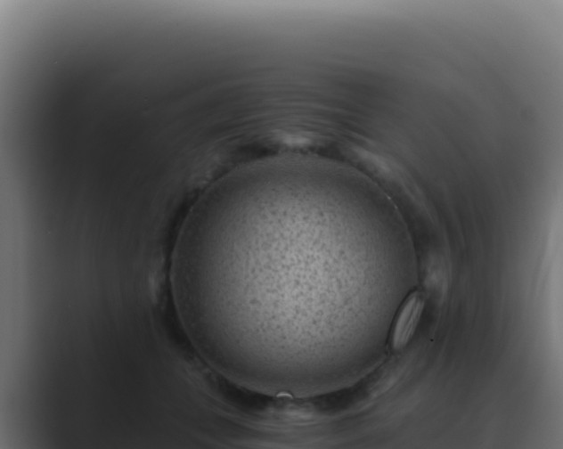 X0000089750559200706281627