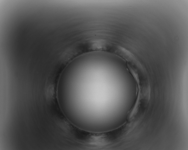 X0000089750560200706281627