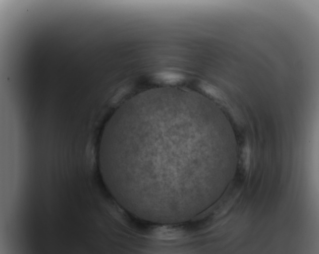 X0000089750568200706281627