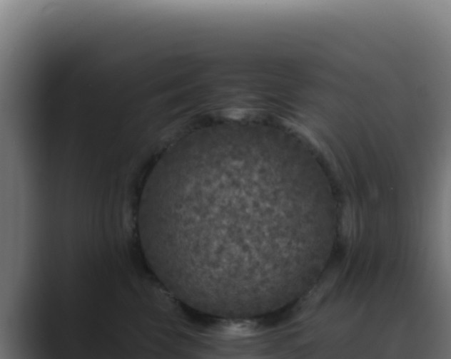 X0000089750569200706281627