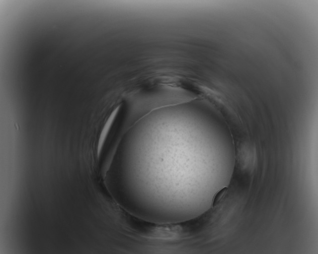 X0000089750571200706281627