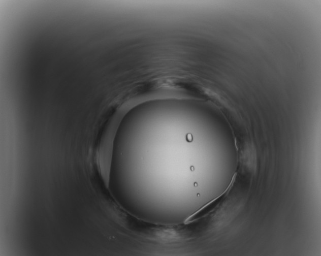 X0000089750572200706281628