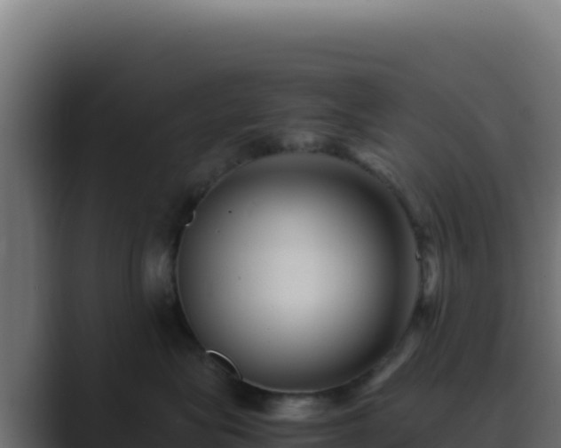 X0000089750575200706281628