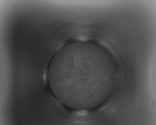 X0000089750576200706281628