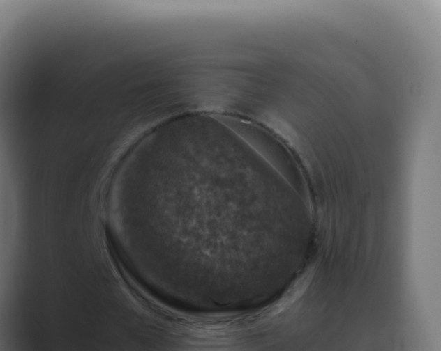 X0000089750577200706281627