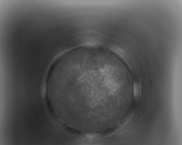 X0000089750579200706281627