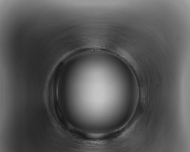 X0000089750580200706281627