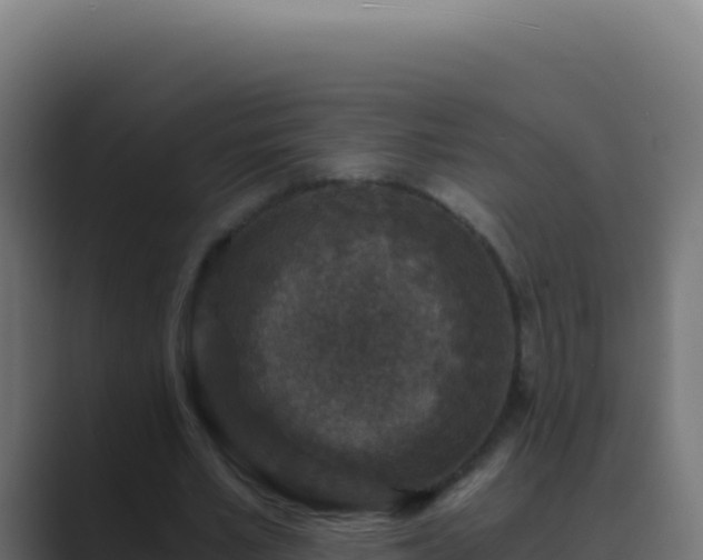 X0000089750581200706281627