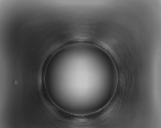 X0000089750582200706281627