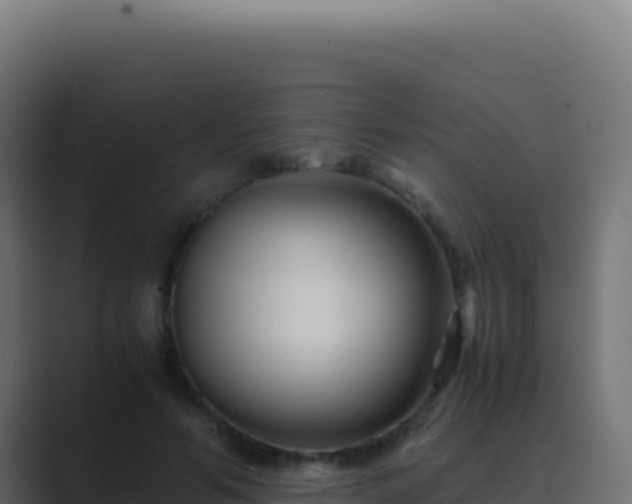 X0000089750594200706281627