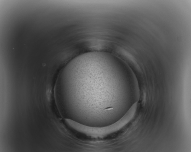 X0000089750596200706281627