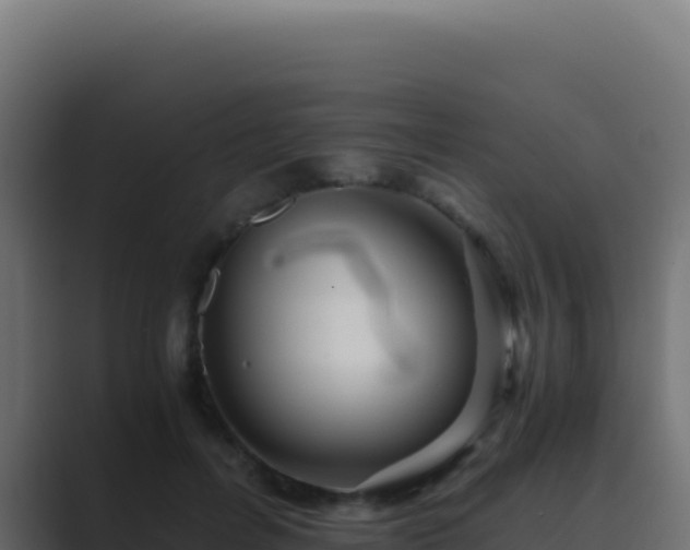 X0000089750600200706281627