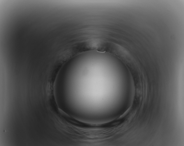 X0000089750605200706281627