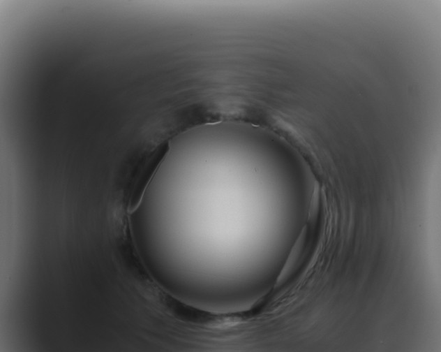 X0000089750609200706281627