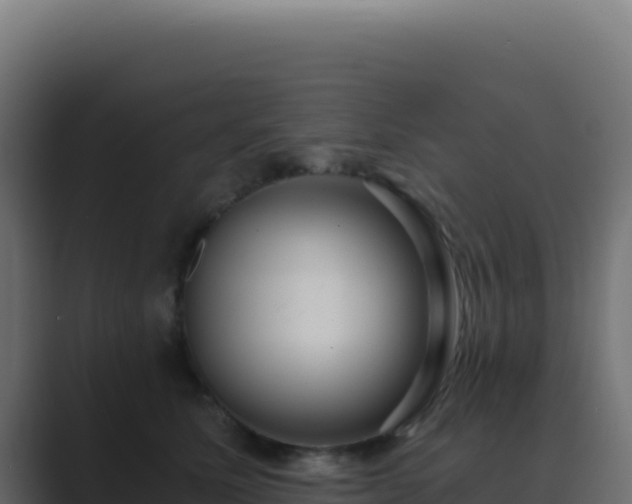 X0000089750611200706281627