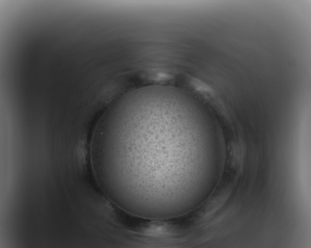 X0000089750612200706281627