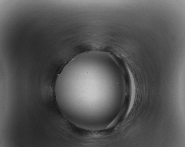 X0000089750613200706281627