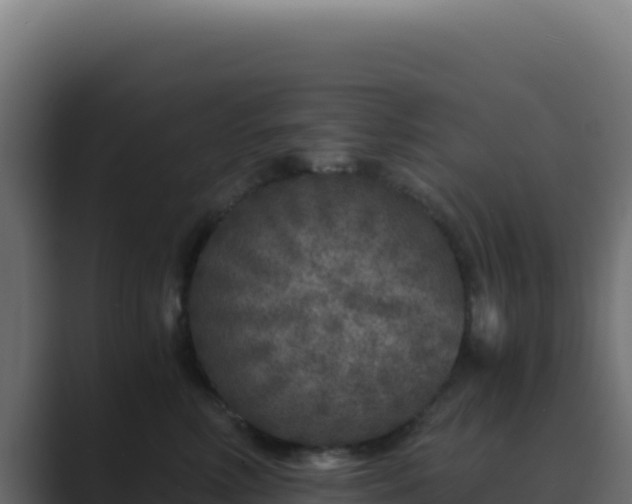 X0000089750618200706281627