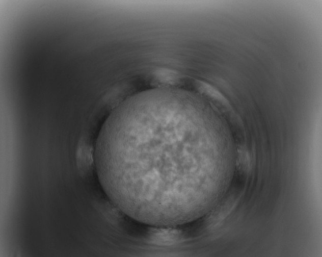 X0000089750621200706281626