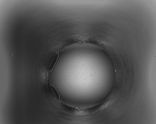 X0000089750624200706281626