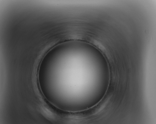 X0000089750625200706281626