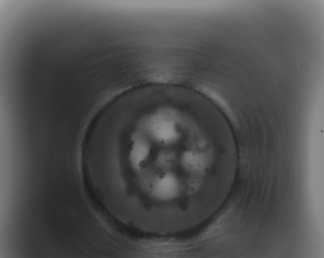 X0000089750626200706281626