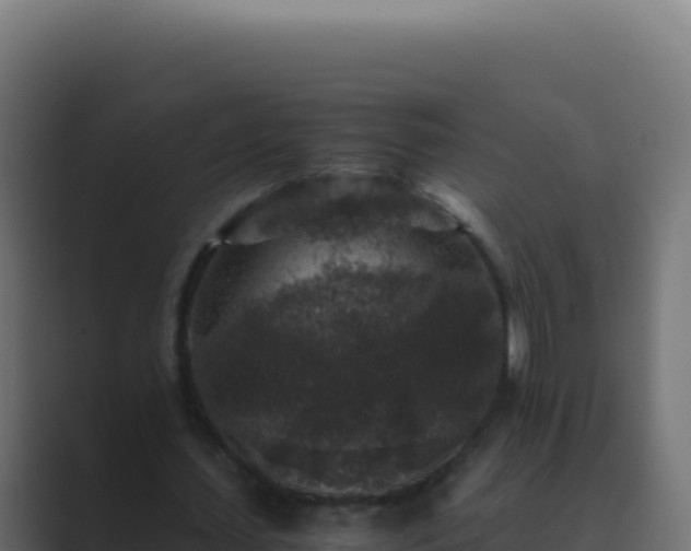 X0000089750627200706281626