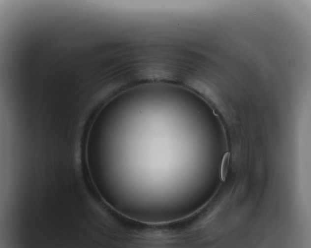 X0000089750629200706281626