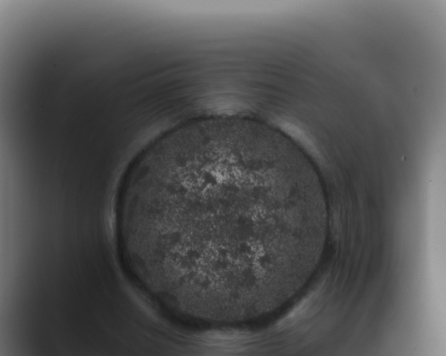 X0000089750630200706281626