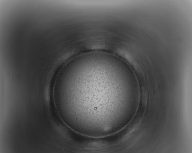 X0000089750631200706281626