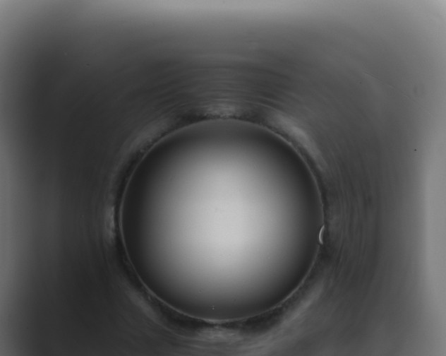 X0000089750633200706281626