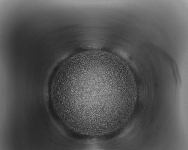 X0000089750634200706281626