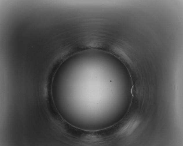 X0000089750635200706281626