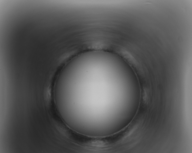 X0000089750636200706281626