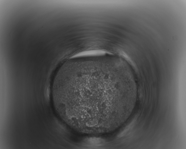 X0000089750637200706281626