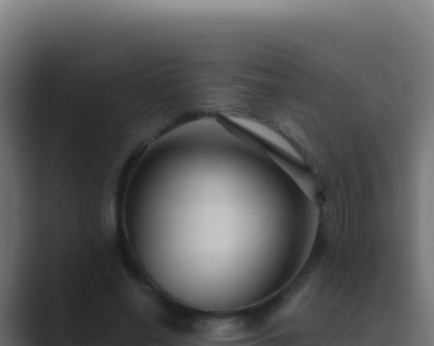 X0000089750638200706281626