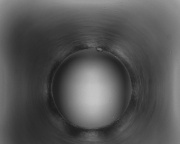 X0000089750639200706281626